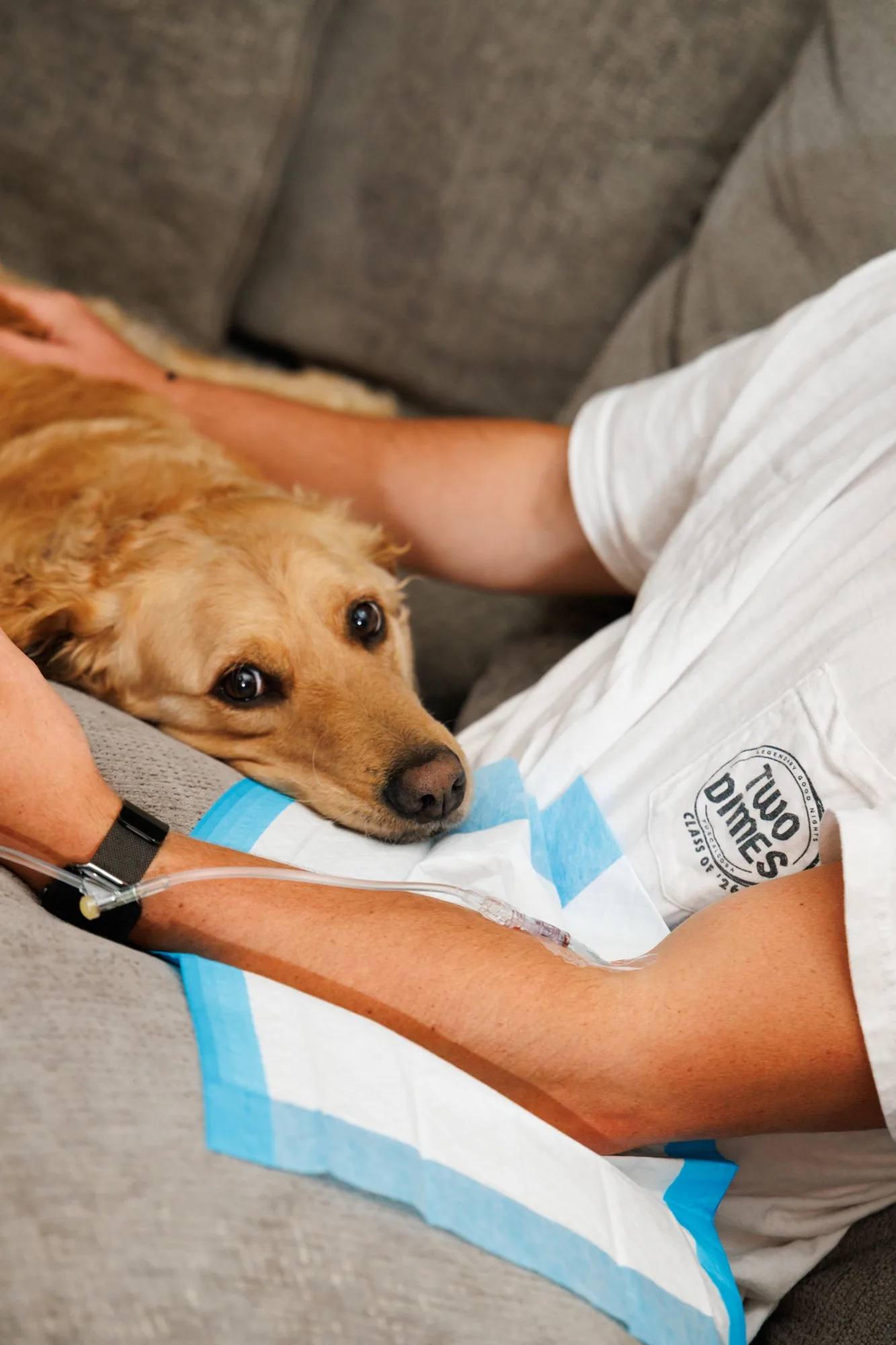 A client hugging his golden retriever on the couch while receiving an IV